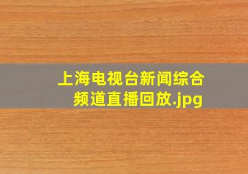 上海电视台新闻综合频道直播回放